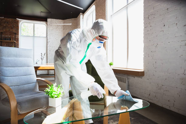 Reliable Santee, SC Mold Removal Solutions